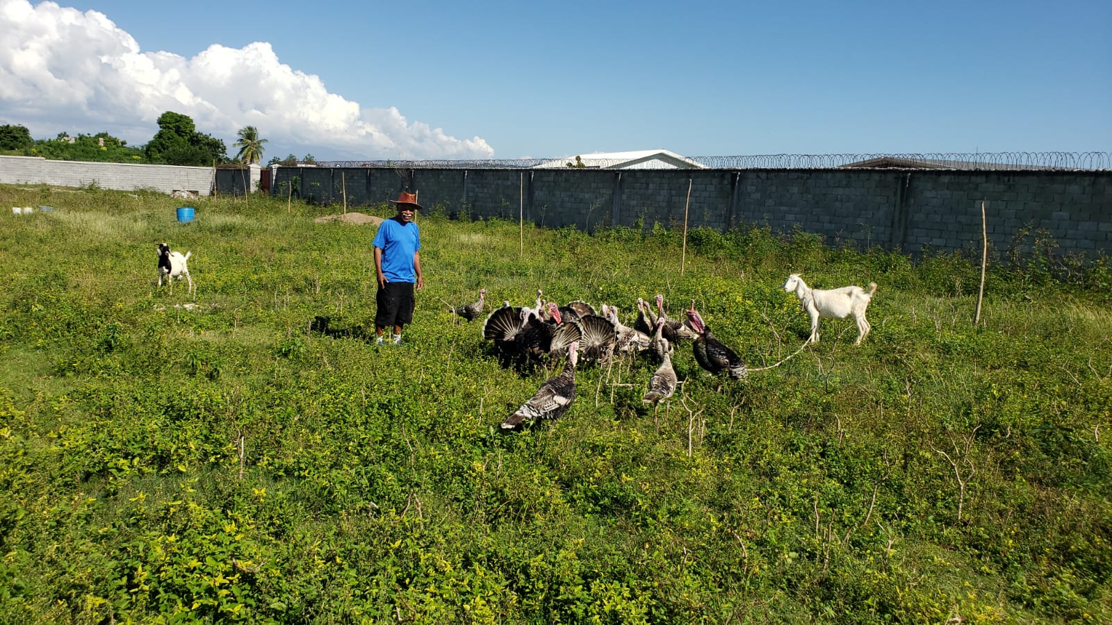 EcoChamp SA - Real Agriculture